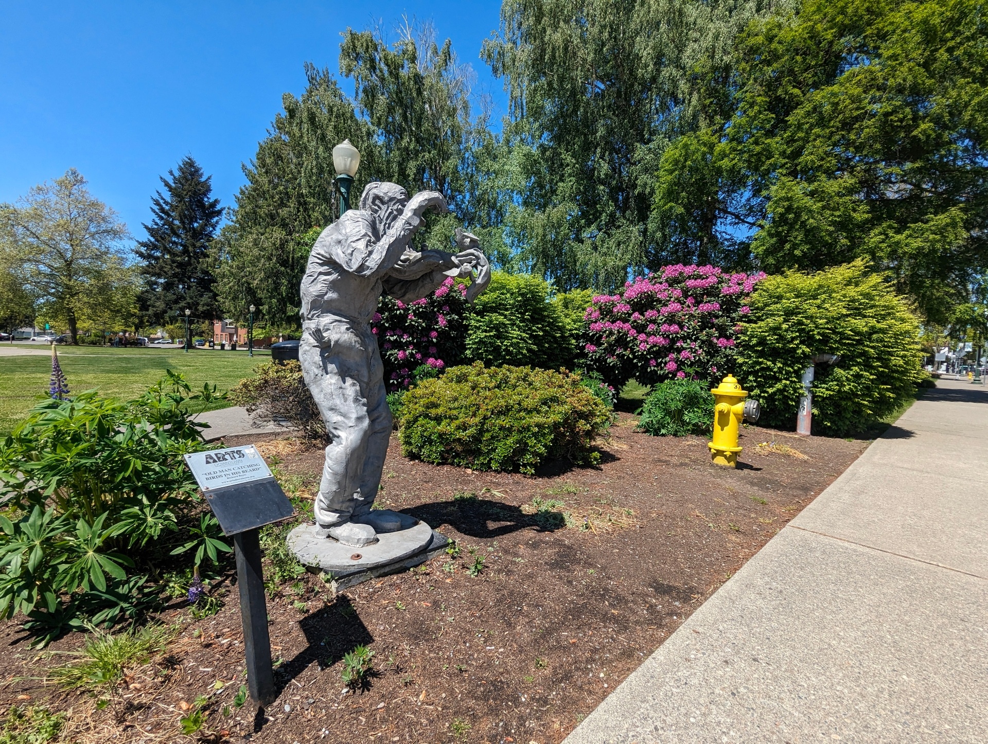 Vehicle Door Glass Replacement in Puyallup